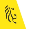 Flemish Government