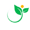 Eco Stim Energy Solution