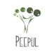 Peepul Capital