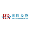 Broad Resources
