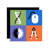 The STEM Alliance