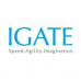 IGATE Global Solutions