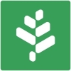 Grove