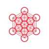 Kavli Foundation