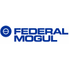 Federal Mogul Corporation