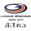 Lingang Group