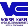 Voksel Electric