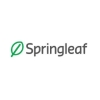 Springleaf Holdings