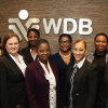 WDB Investment Holdings