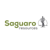 Sagurao Resources