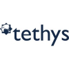 Tethys Investment Management