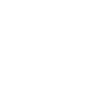 Bridge Angel Investors