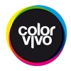 Color Vivo Internet