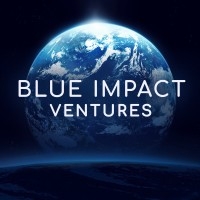 Blue Impact Ventures logo