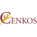 Cenkos Securities