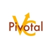 Pivotal Ventures