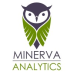 Minerva Analytics