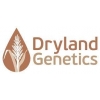 Dryland Genetics