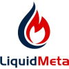 Liquid Meta Capital Holdings