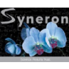 Syneron Medical