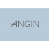 Angel Investment Network Indonesia (ANGIN)