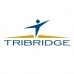 Tribridge