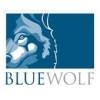 Blue Wolf Capital Partners