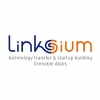 Linksium