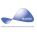 Bluefish Communications