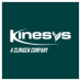 Kinesys Consulting