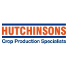 Hutchison Group