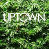 Uptown Co-workshop