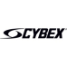 Cybex International