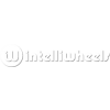 IntelliWheels