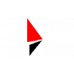 Real Image Media Technologies