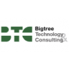 Big Tree Technology & Consulting