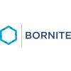 Bornite Capital Management