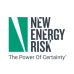 New Energy Risk