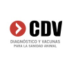 China Digital Video Holdings Limited