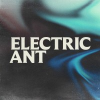 Electric Ant