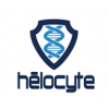 Helocyte