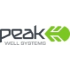 Peak Well Systems