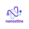 Nanostine