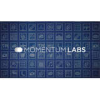 Momentum Labs