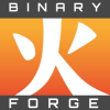 Binary Forge Solutions Ltd