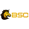 BSC Station