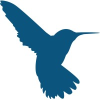 Hummingbird Resources