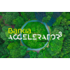 Bankia Accelerator