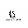 Northern Swan