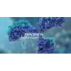 MabGenesis